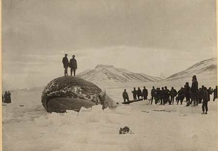 Hvalreki á Skagaströnd í janúar 1918